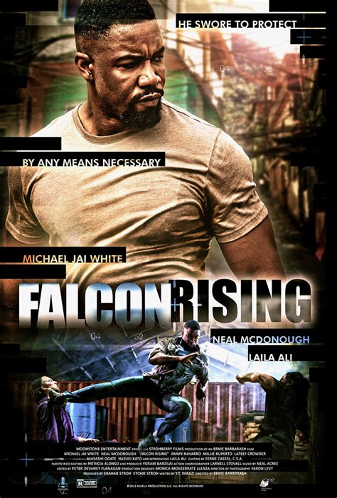 falcon rising